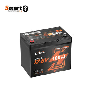 LiTime 12V 100Ah Group 24 Bluetooth LiFePO4 Deep Cycle Battery