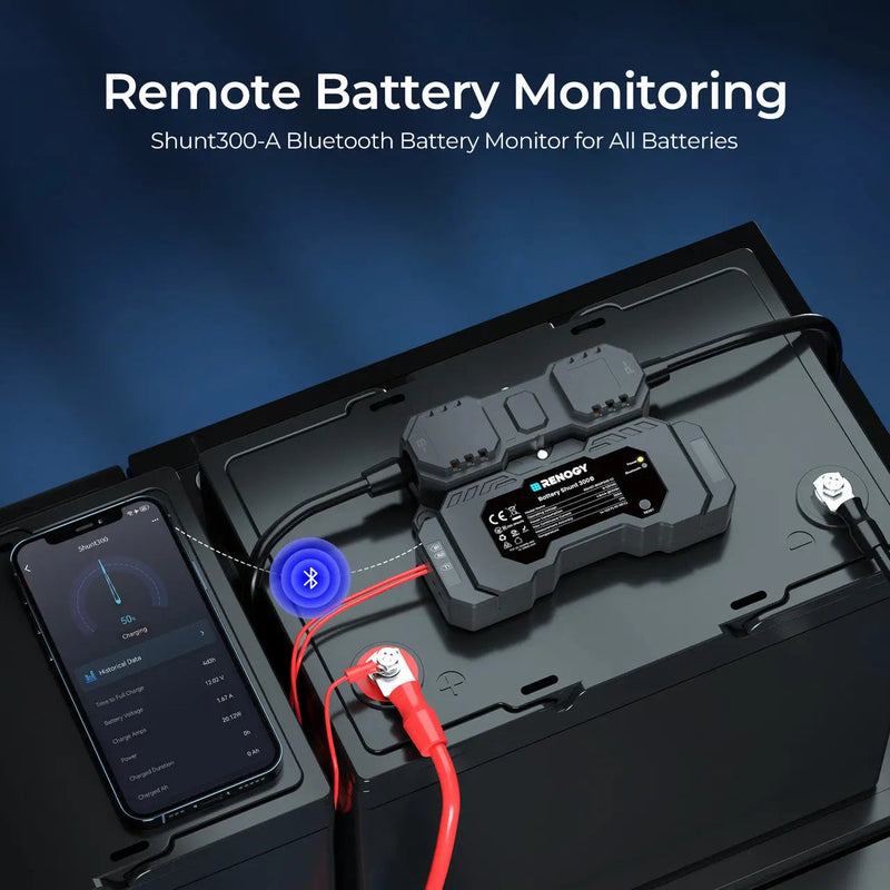 Renogy Battery Shunt 300 with temperature sensor