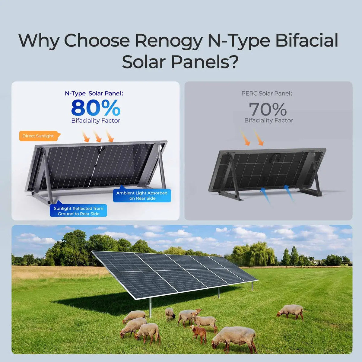 Renogy 590W N-Type bifacial solar panel two pack