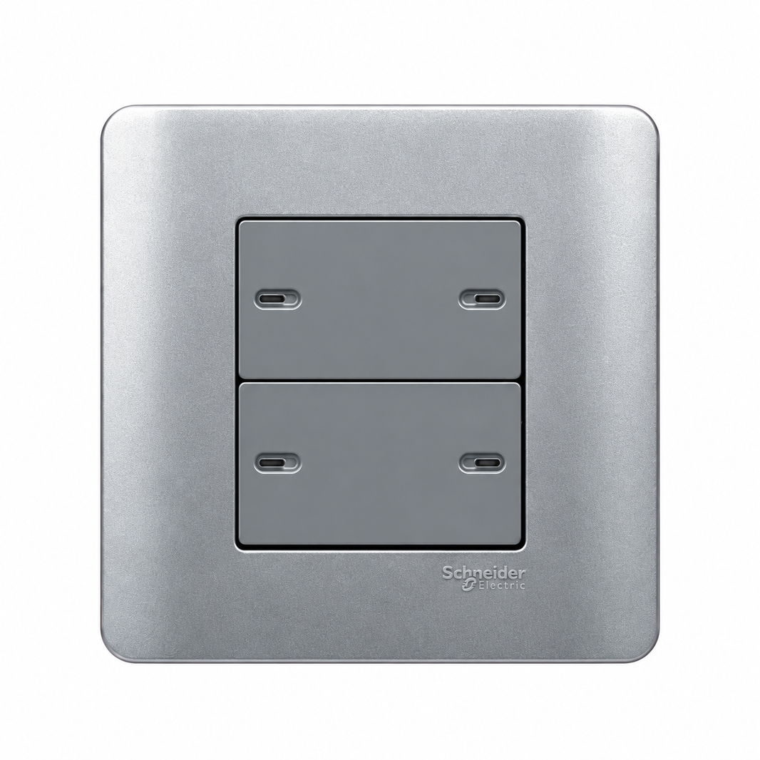 Schneider Switches