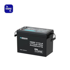 Renogy Core Mini 12V 200Ah LiFePO4 battery short case