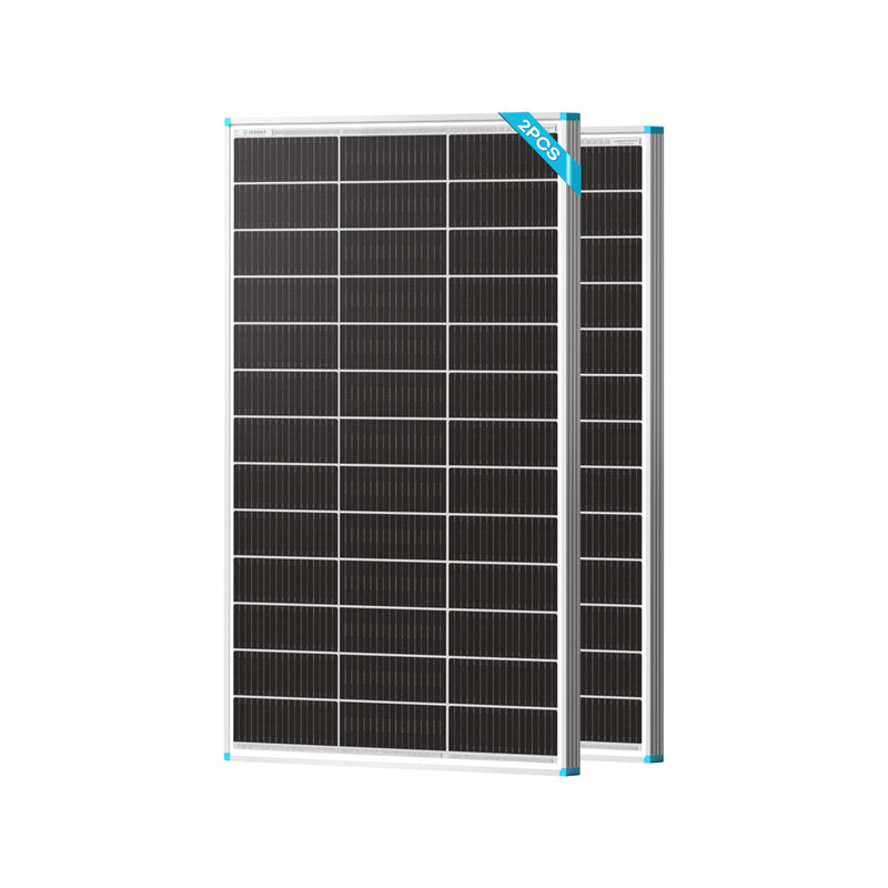 Renogy N-Type bifacial solar panel