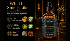 AromaLYA Citrus Atrium Fragrance Oil 4 fl oz with Dropper – AromaLYA