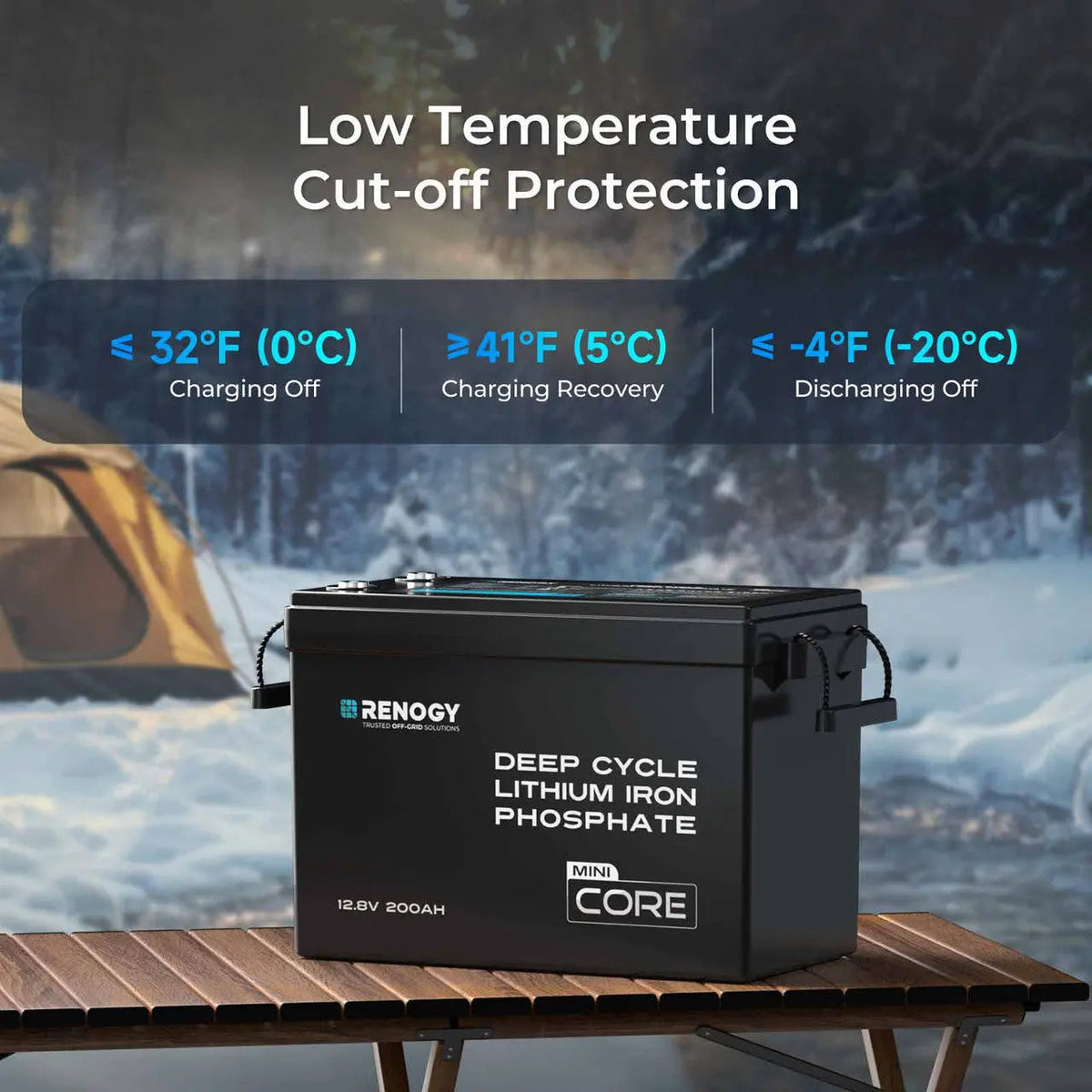 Renogy Core Mini 12V 200Ah LiFePO4 battery short case
