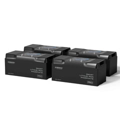Renogy Pro Series 12V smart LiFePO4 battery