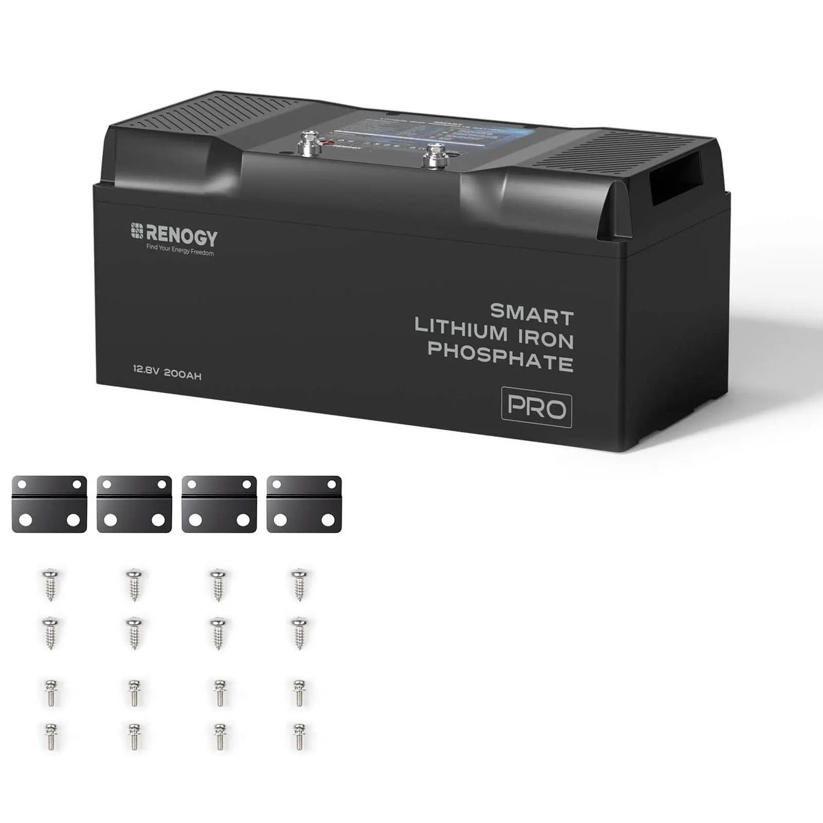 Renogy Pro Series 12V smart LiFePO4 battery