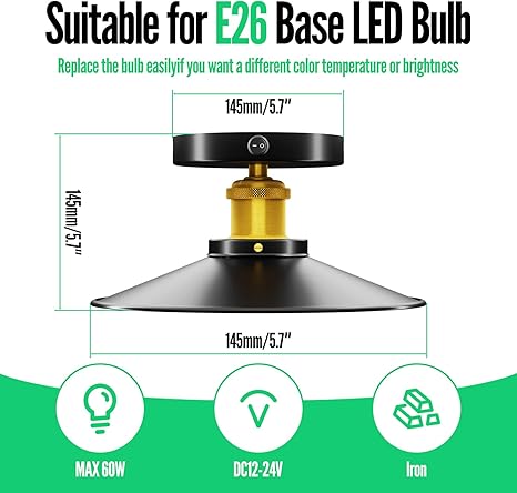 12V/110V RV Vintage Ceiling Light E26 Flush Mount