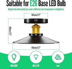 12V/110V RV Vintage Ceiling Light E26 Flush Mount