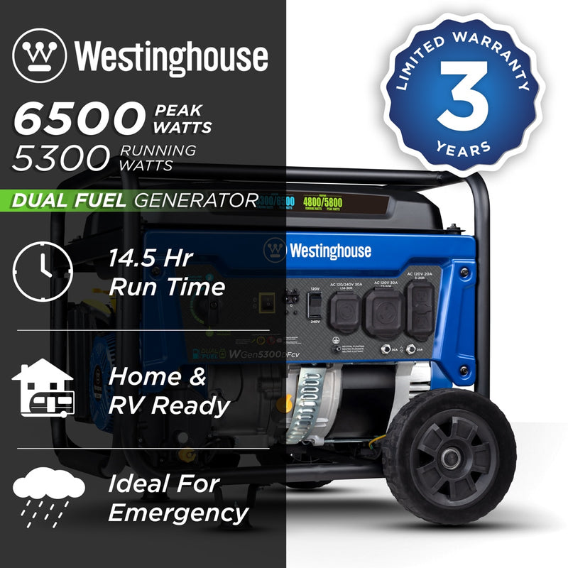 Dual fuel portable generator