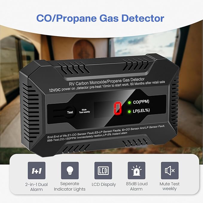 Dual CO/LP Gas Alarm RV 12V DC with LED Indicator