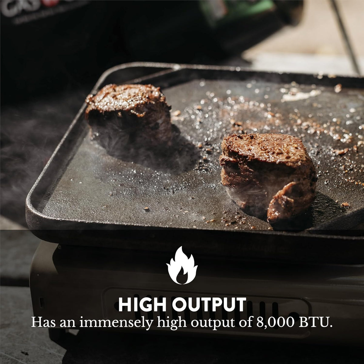Gas One dual fuel camp stove