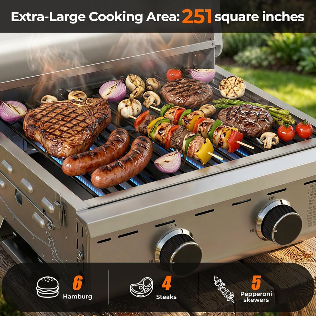 Stainless portable propane grill