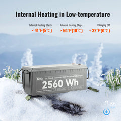 Rich Solar ALPHA 4 24V 100Ah LiFePO4 Battery