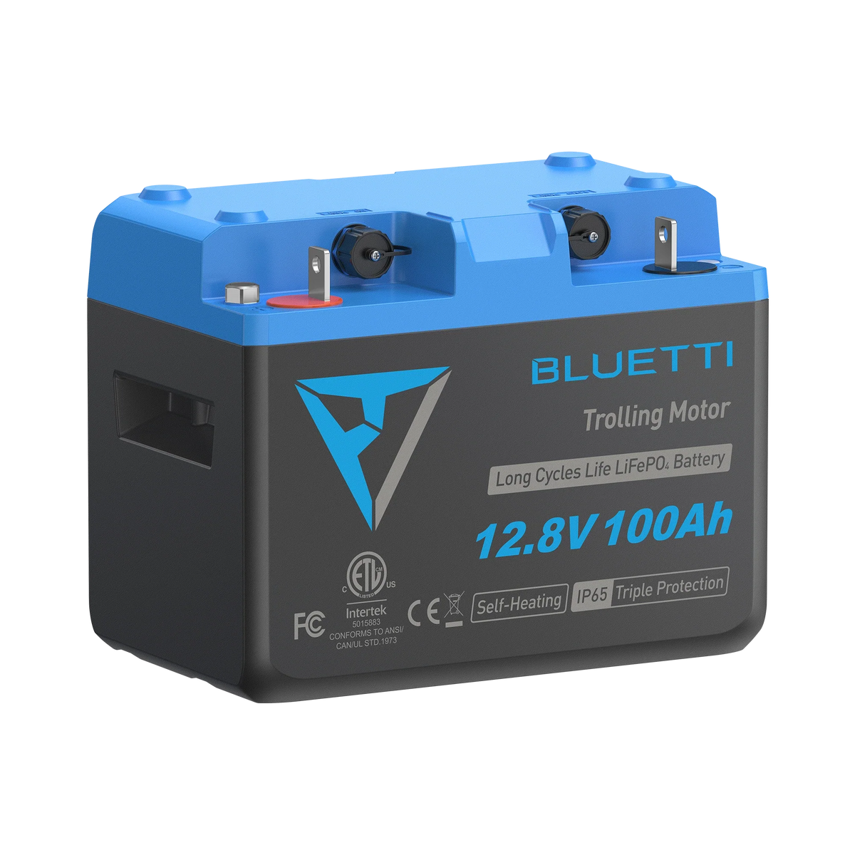 BLUETTI B1210 LiFePO4 Deep Cycle Battery | 12.8V 100Ah, 1,280Wh