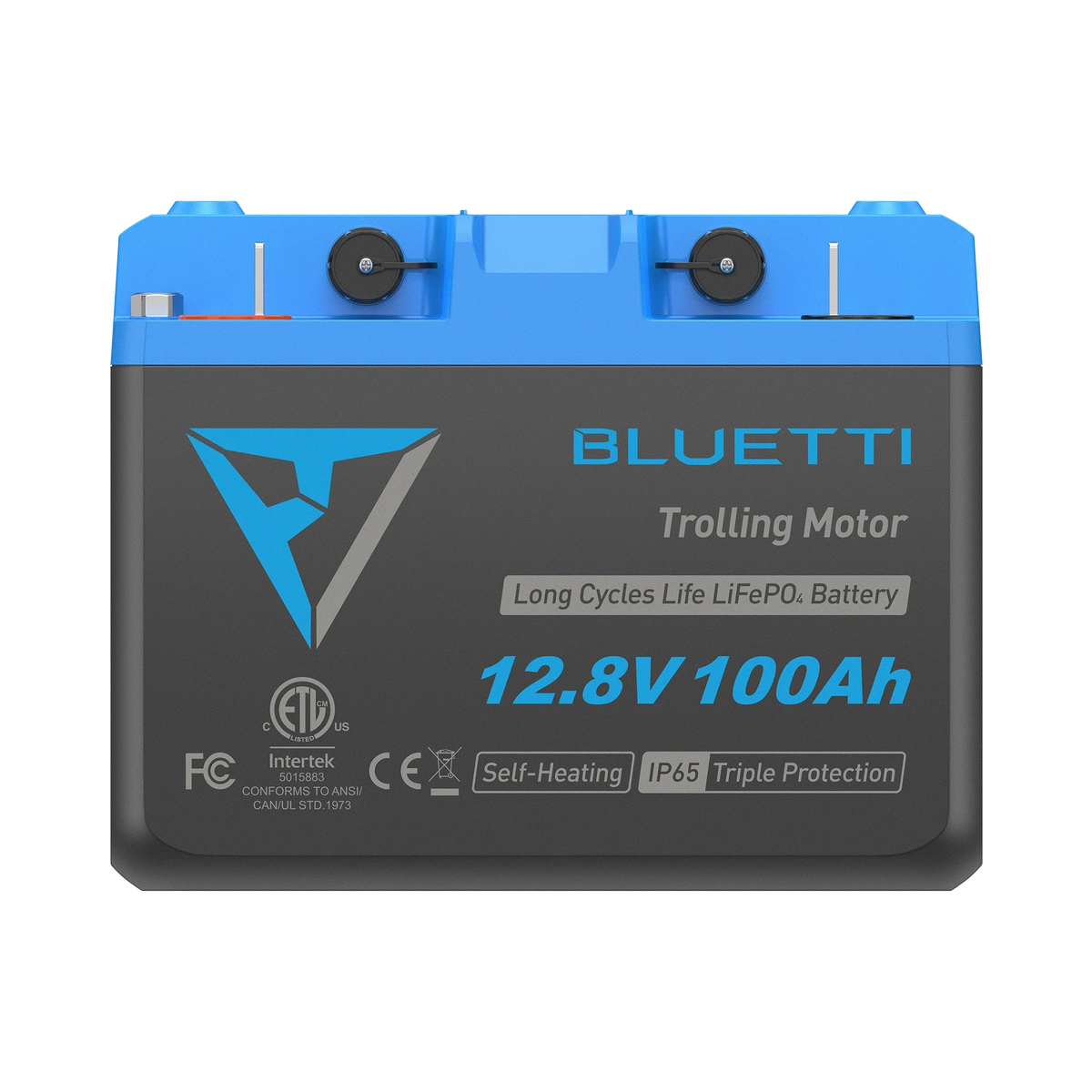 BLUETTI B1210 LiFePO4 Deep Cycle Battery | 12.8V 100Ah, 1,280Wh