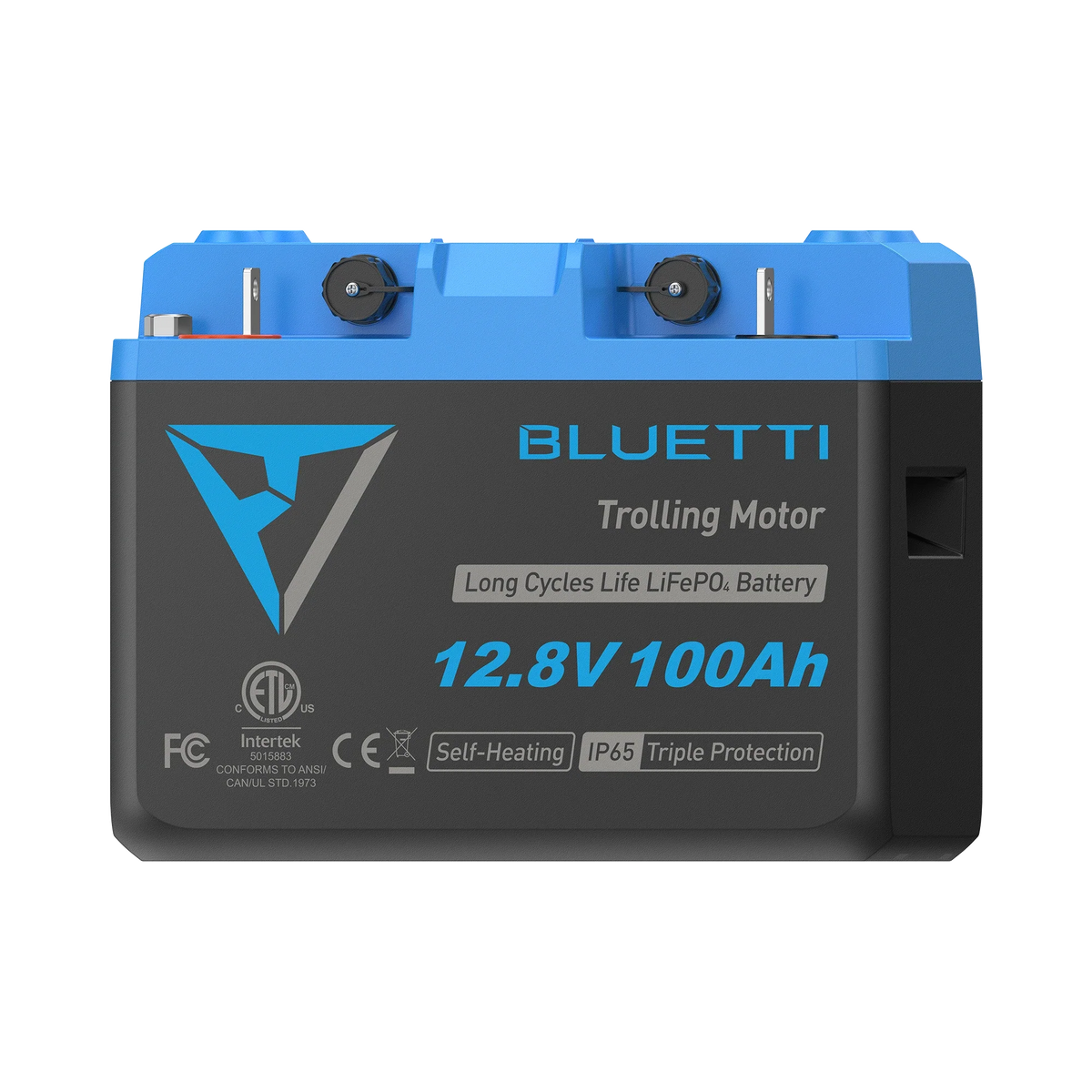 BLUETTI B1210 LiFePO4 Deep Cycle Battery | 12.8V 100Ah, 1,280Wh
