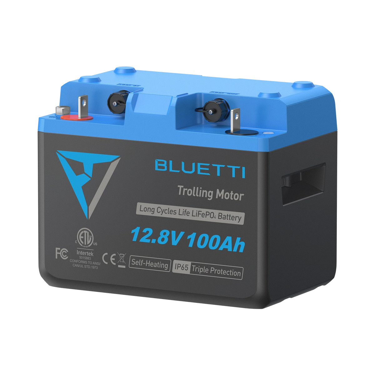 BLUETTI B1210 LiFePO4 Deep Cycle Battery | 12.8V 100Ah, 1,280Wh