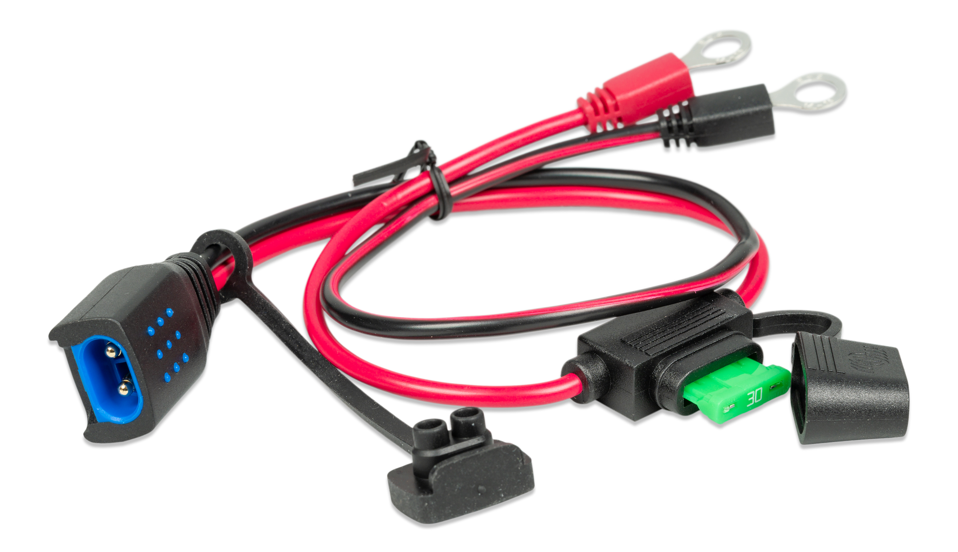 M6/M8 eyelet connector (with 30A ATO fuse) - Accessories for the Blue Smart IP65 Chargers