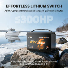 LiTime 12V 165Ah 1200 CCA Dual Purpose Self-Heating Lithium Battery