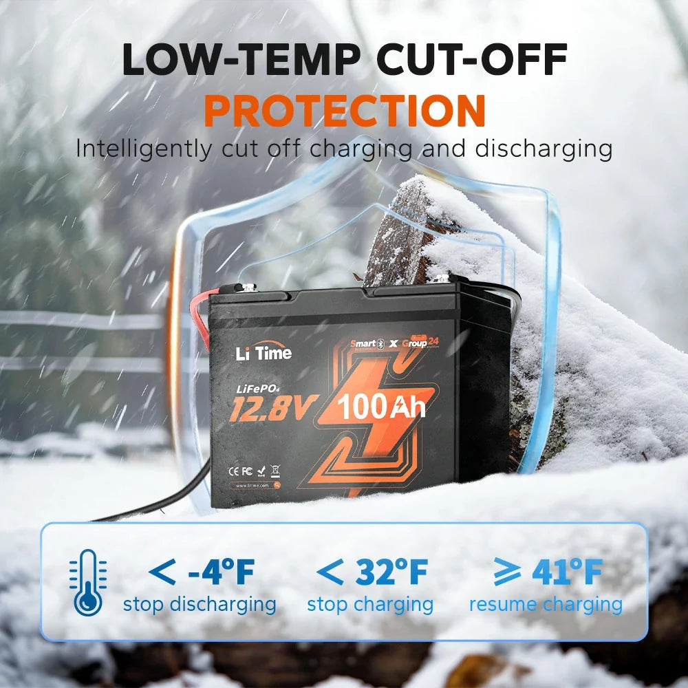 LiTime 12V 100Ah Group 24 Bluetooth LiFePO4 Deep Cycle Battery