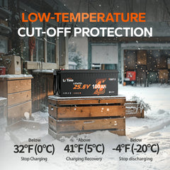 LiTime 24V 100Ah Bluetooth LiFePO4 Battery with Low-Temp Cut-Off