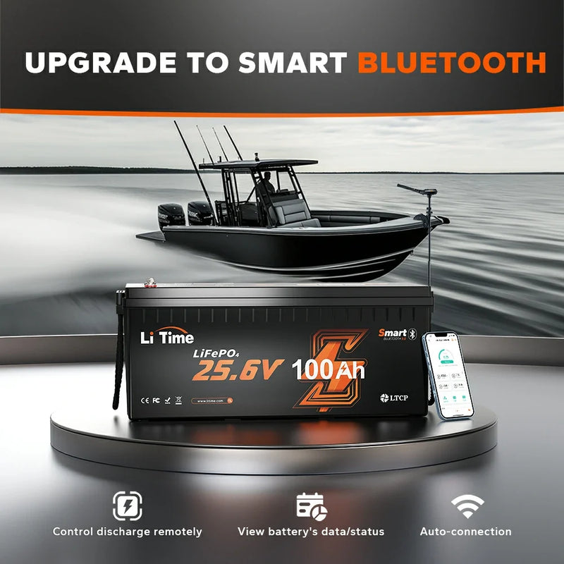 LiTime 24V 100Ah Bluetooth LiFePO4 Battery with Low-Temp Cut-Off