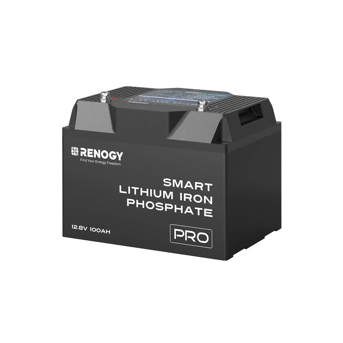 Renogy Pro Series 12V smart LiFePO4 battery