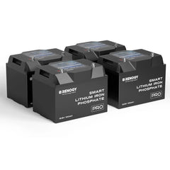 Renogy Pro Series 12V smart LiFePO4 battery