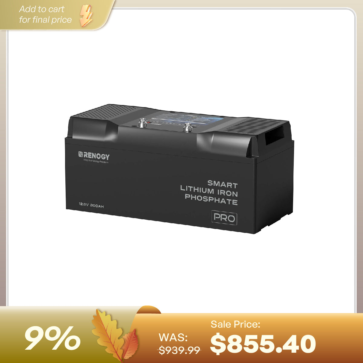 Renogy Pro Series 12V smart LiFePO4 battery