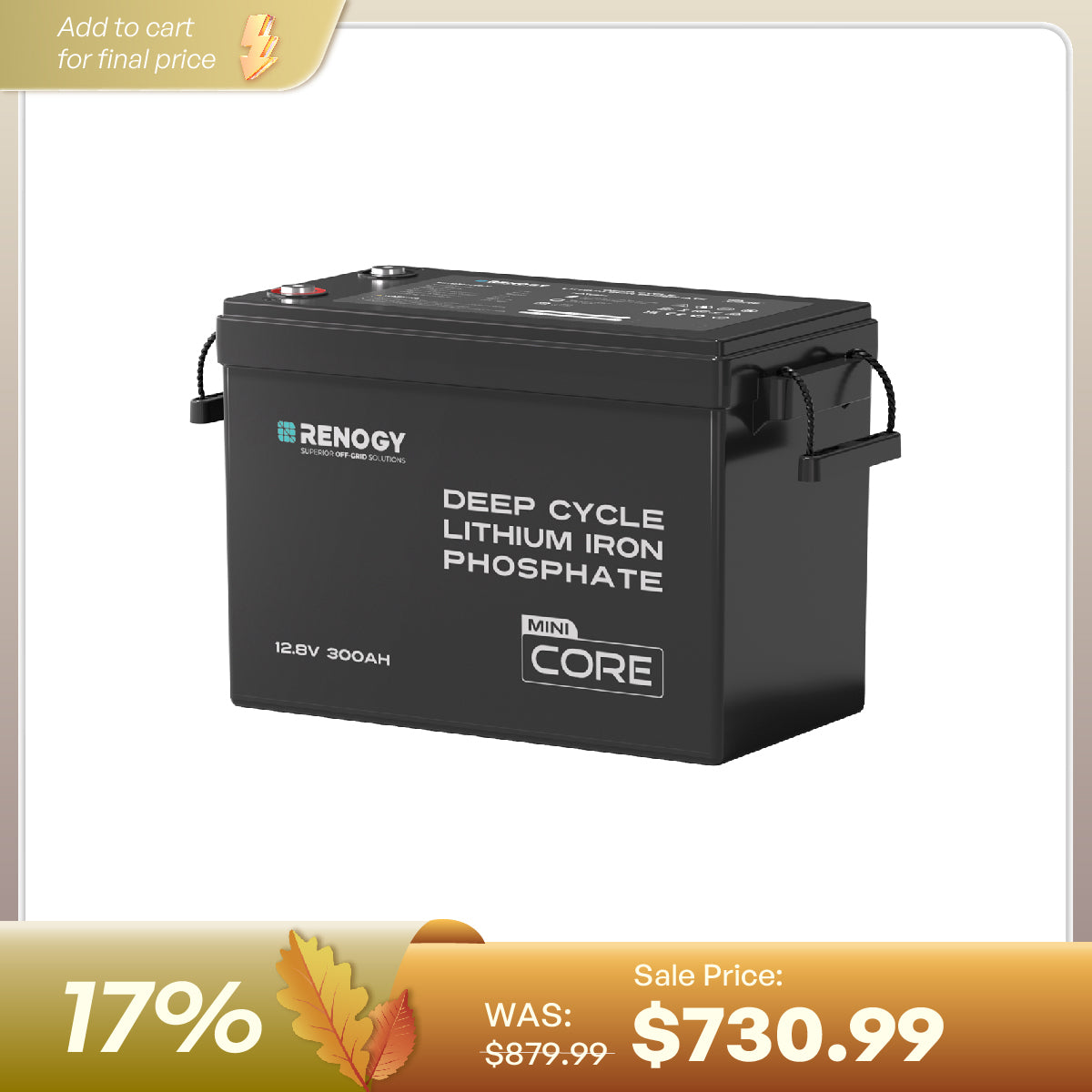 Renogy Core Mini 12.8V LiFePO4 lithium battery