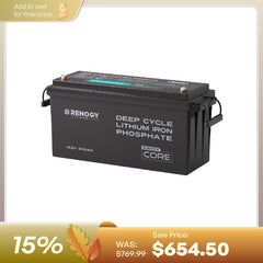 Renogy Core 12V 200Ah LiFePO4 battery with Bluetooth