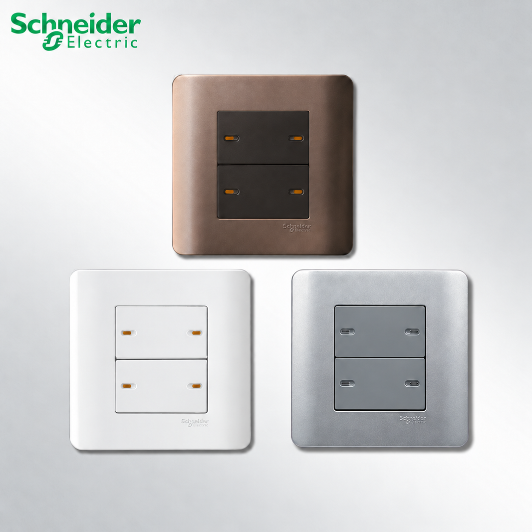 Schneider Switches