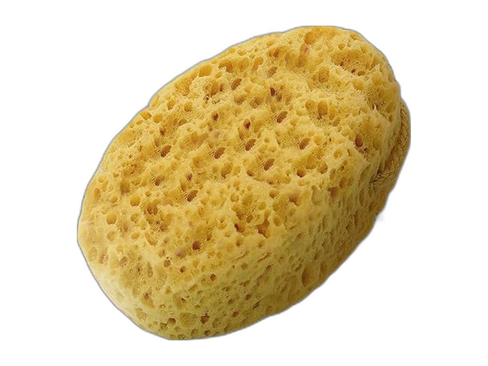 bath sponge foam loofah body scrubber on white background