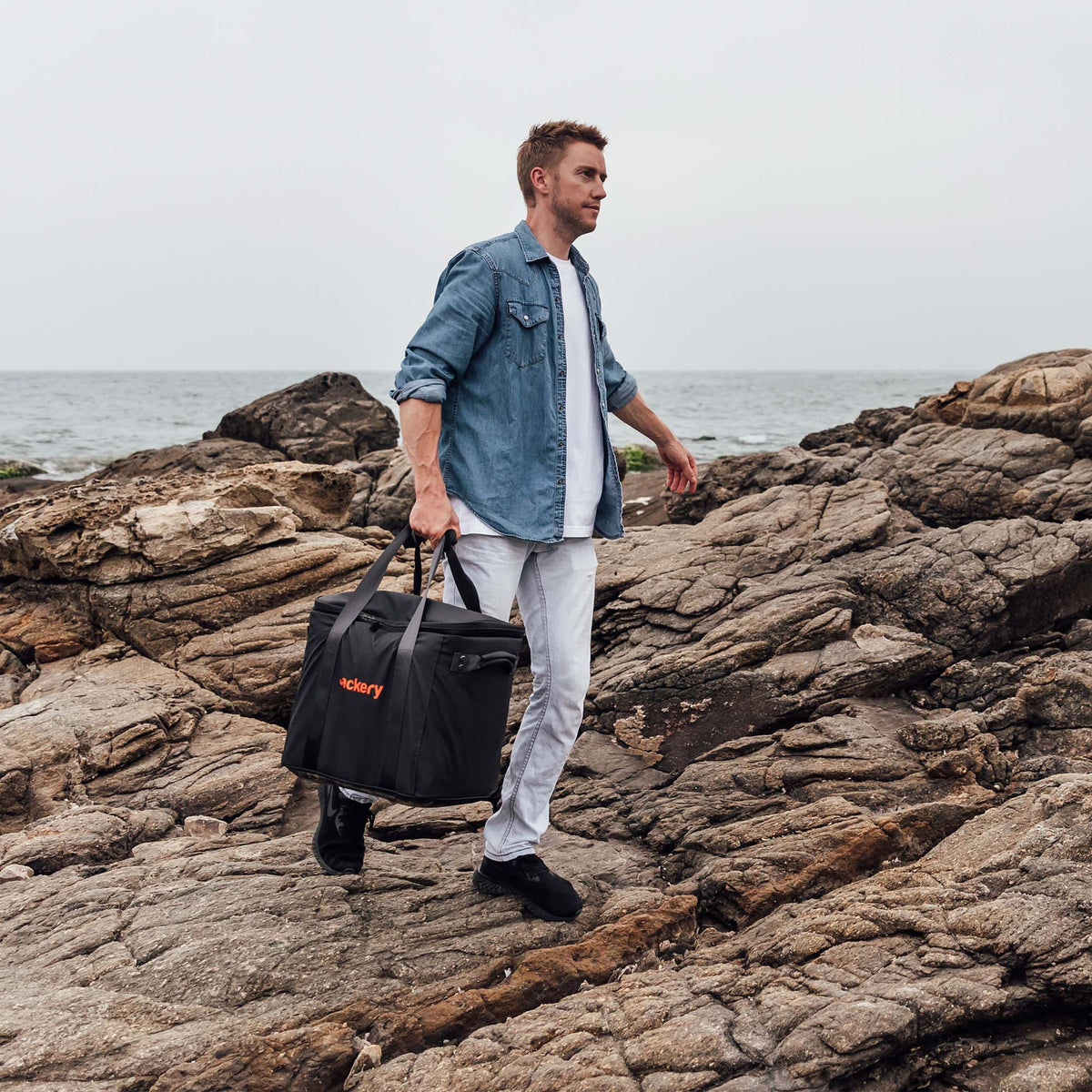 Jackery upgraded carrying case large