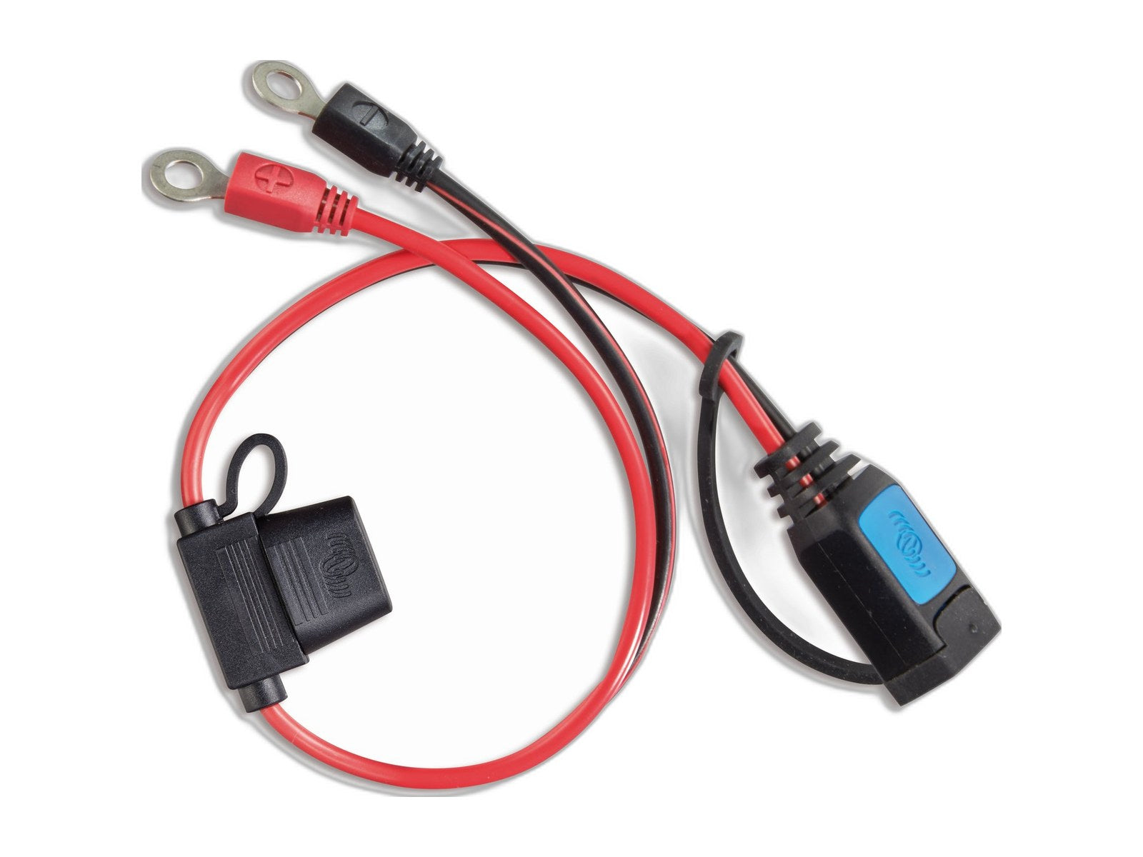 m6 m8 eyelet connector with 30a ato on white background