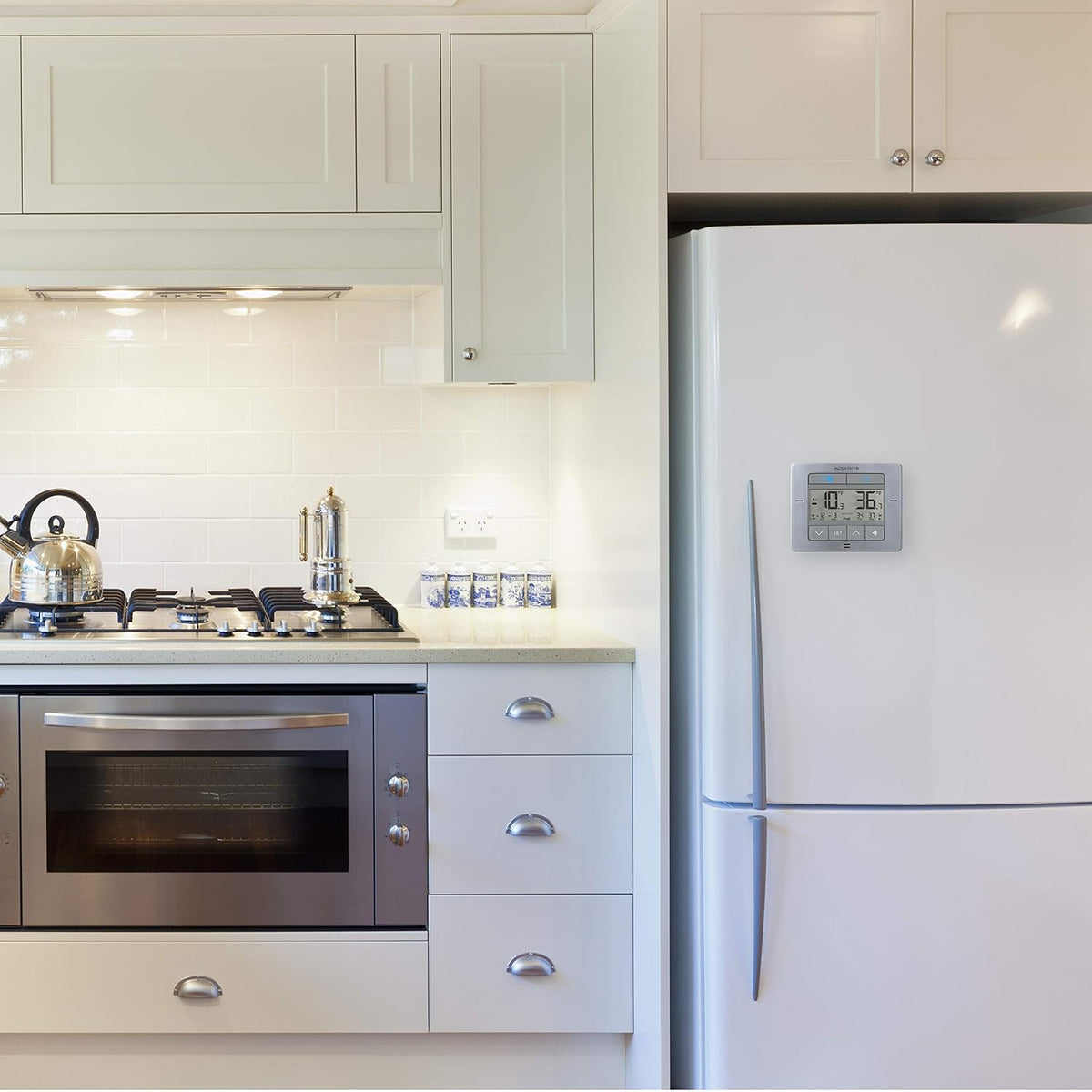 Fridge freezer thermometer