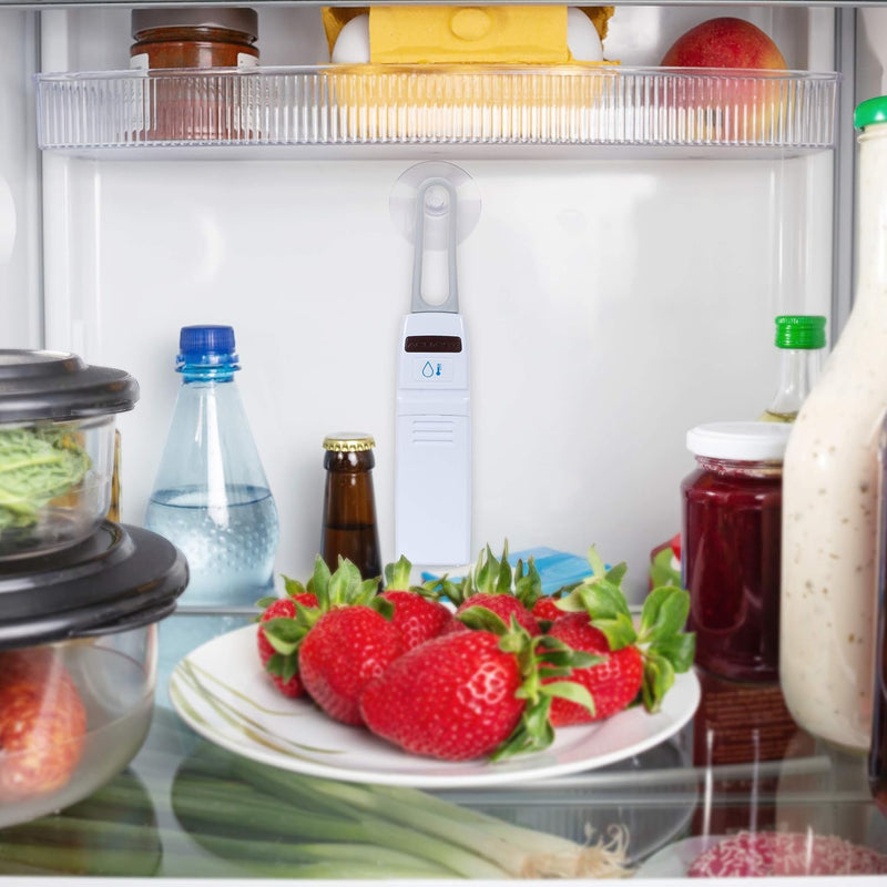 Fridge freezer thermometer