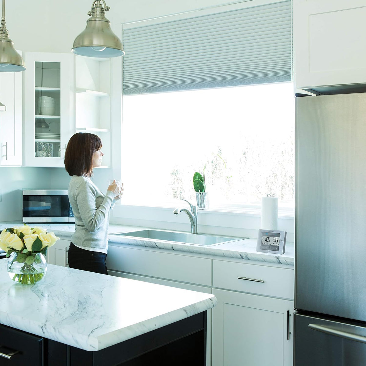 Fridge freezer thermometer