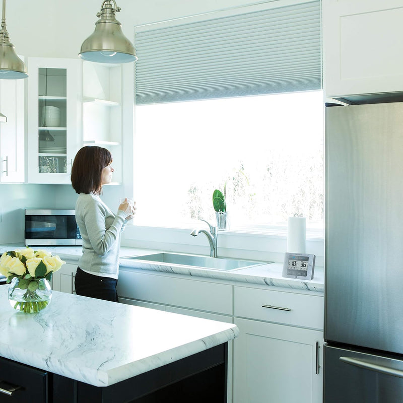 Fridge freezer thermometer
